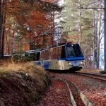 Il “Treno Del Foliage” per ammirare i panorami autunnali tra Piemonte e Svizzera