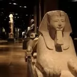 Halloween, il Museo Egizio proporrà “Un racconto itinerante tra il regno dei vivi e il regno dei morti”