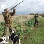La sospensione della caccia in Piemonte prosegue: stop fino alle fine della stagione