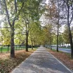 I cinque principali parchi di Torino