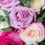 Sagre di maggio 2019 in Piemonte: le fiere del mese delle rose