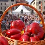 Torna Bollicine e Peperoni a Carmagnola, l’evento che segue la Fiera Nazionale del Peperone