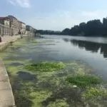 A Torino il Po ripulito dalle alghe: rimosse le erbacce tra piazza Vittorio e Italia 61