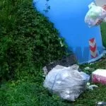 Abbandono dei rifiuti, Torino adotta nuove misure di contrasto
