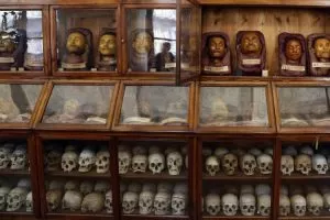 Ennesimo accusa di razzismo nei confronti del Museo Lombroso: l'attacco di De Bonis