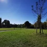 A Torino le aree verdi si rifanno il look: riqualificazione per nove parchi e giardini