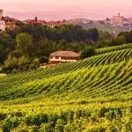 Enogastronomia, Vini d’Italia 2022: grande successo per il Piemonte