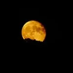 A Torino e in Italia arriva la “Superluna del cervo”: dove vedere la luna più luminosa dell’anno
