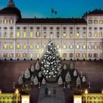 L’albero di Natale a Torino nel 2022 in piazzetta Reale