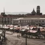 Il mercato ittico di Torino si prepara a un mare di novità