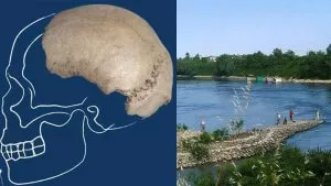 ritrovato-un-cranio-di-homo-sapiens-tra-la-ghiaia-del-po