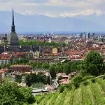 Alberi anti-smog in Piemonte: la soluzione verde per combattere l’inquinamento atmosferico