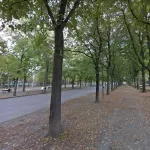 Il Parco Ruffini: un’oasi verde nel cuore di Torino