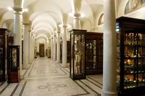 sala museo con colonne
