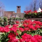 Ortoflora e Natura 2024: Carmagnola ospita l’evento florovivaistico