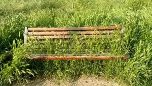 panchina con erba alta